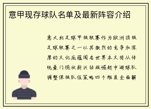 意甲现存球队名单及最新阵容介绍